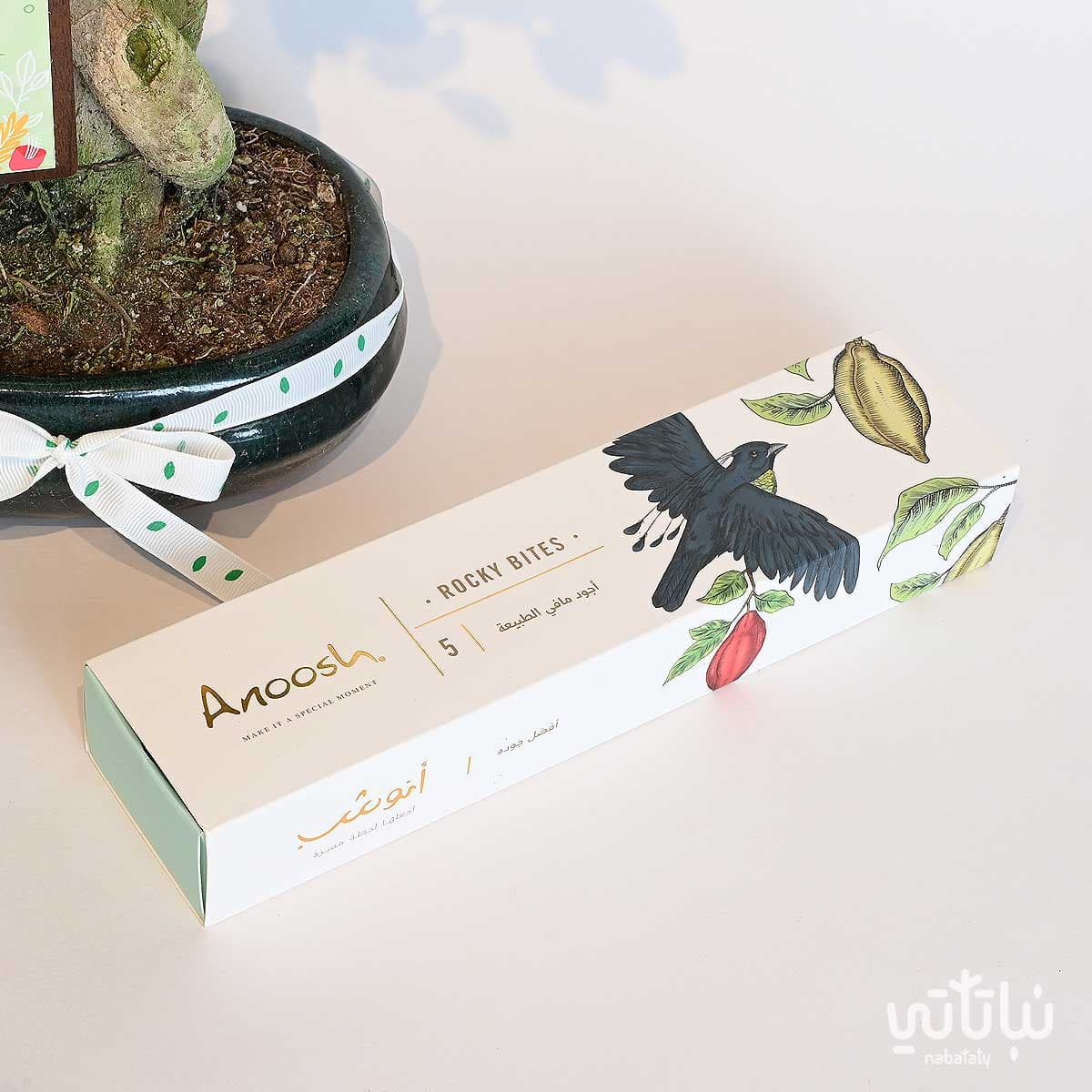 Proud of You gift Bonsai plant and Anoosh chocolates 3