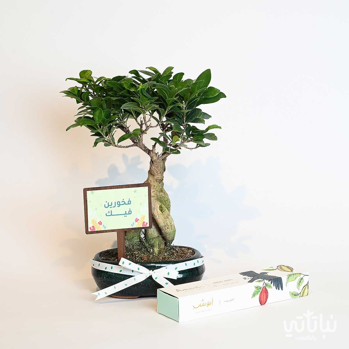 Proud of You gift Bonsai plant and Anoosh chocolates 1