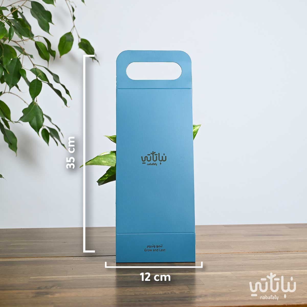 هدية هولدر نبتة البوتس ازرق 2