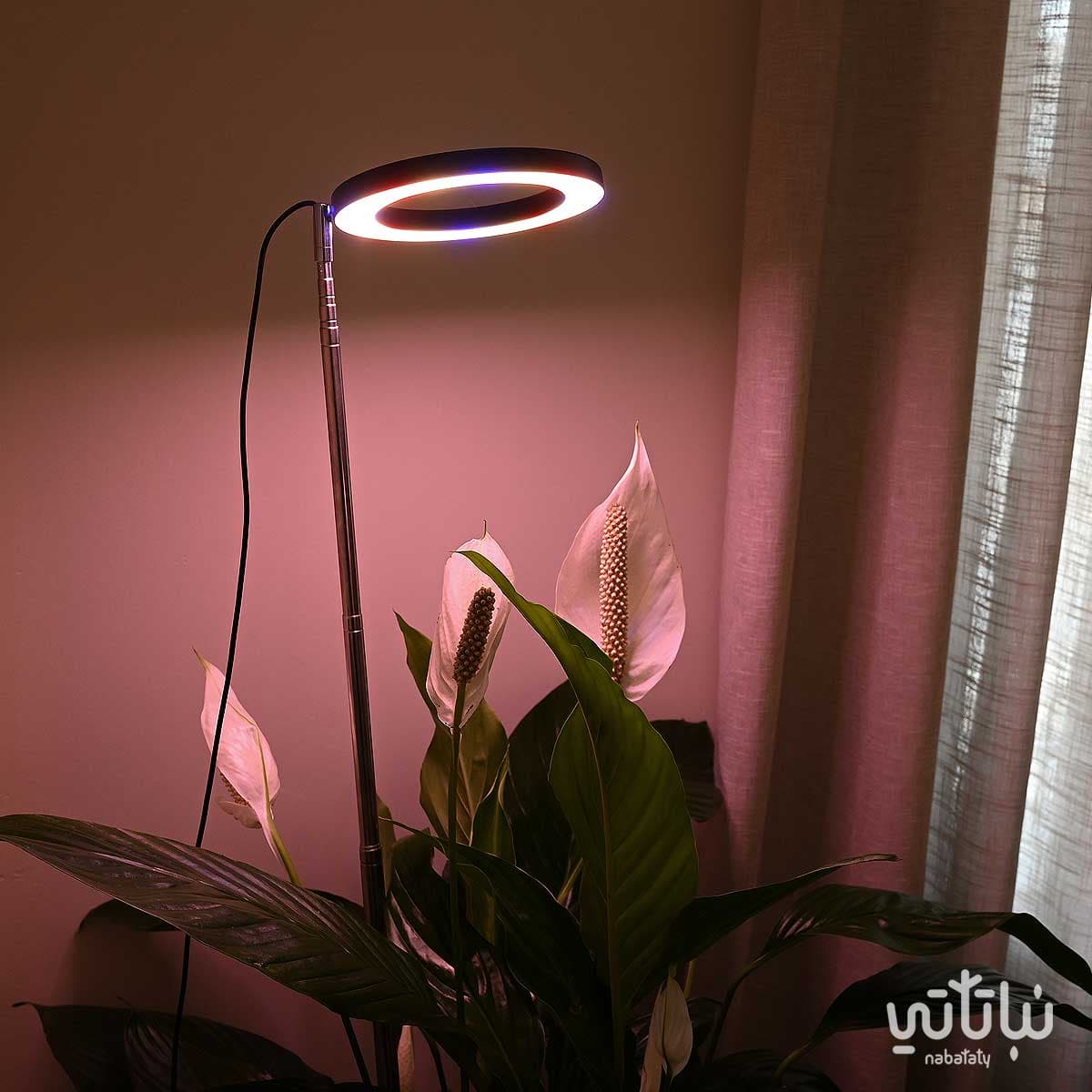 Black plant growth light 3