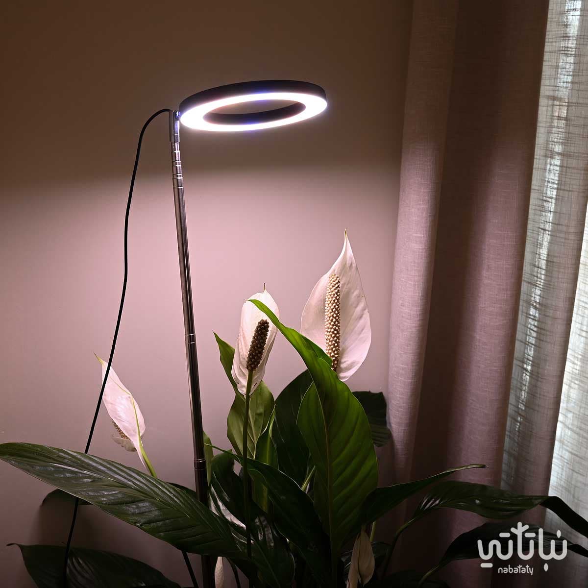 Black plant growth light 1