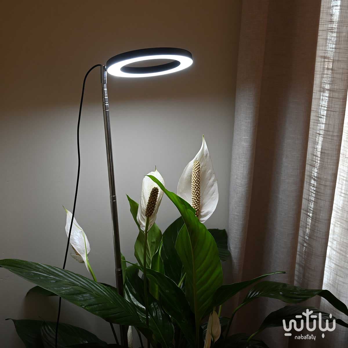 Black plant growth light 2