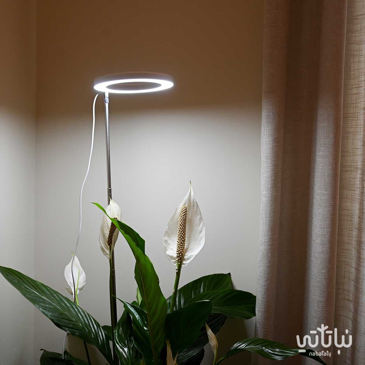 White plant growth light 2