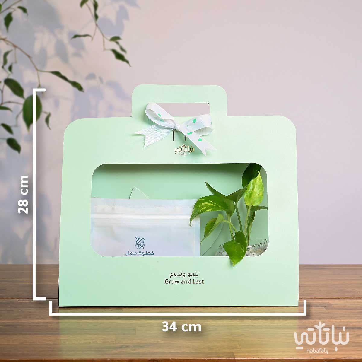 هدية نبتة البوتس اخضر فاتح مع قهوة كولومبيا فوندو 2