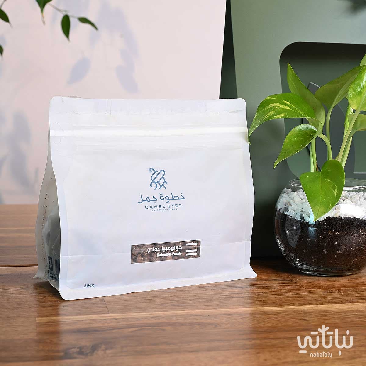 هدية نبتة البوتس اخضر مع قهوة كولومبيا فوندو 2