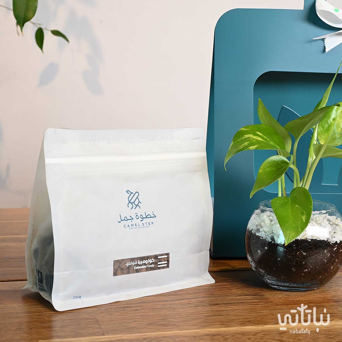 هدية نبتة البوتس ازرق مع قهوة كولومبيا فوندو 3