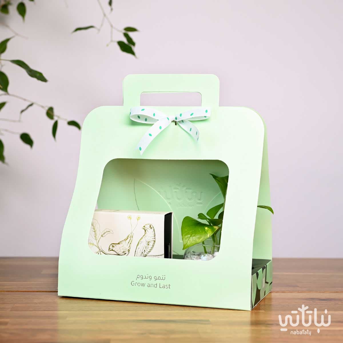 Pothos Plant Gift with Salted Caramel Chocolate