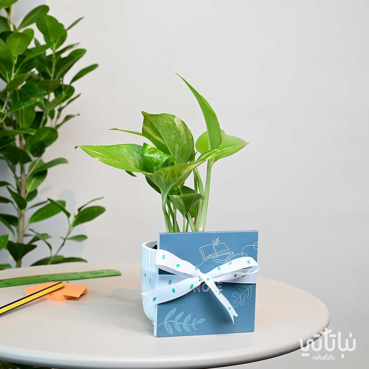 Back to school gift pothos plant and notebook 1