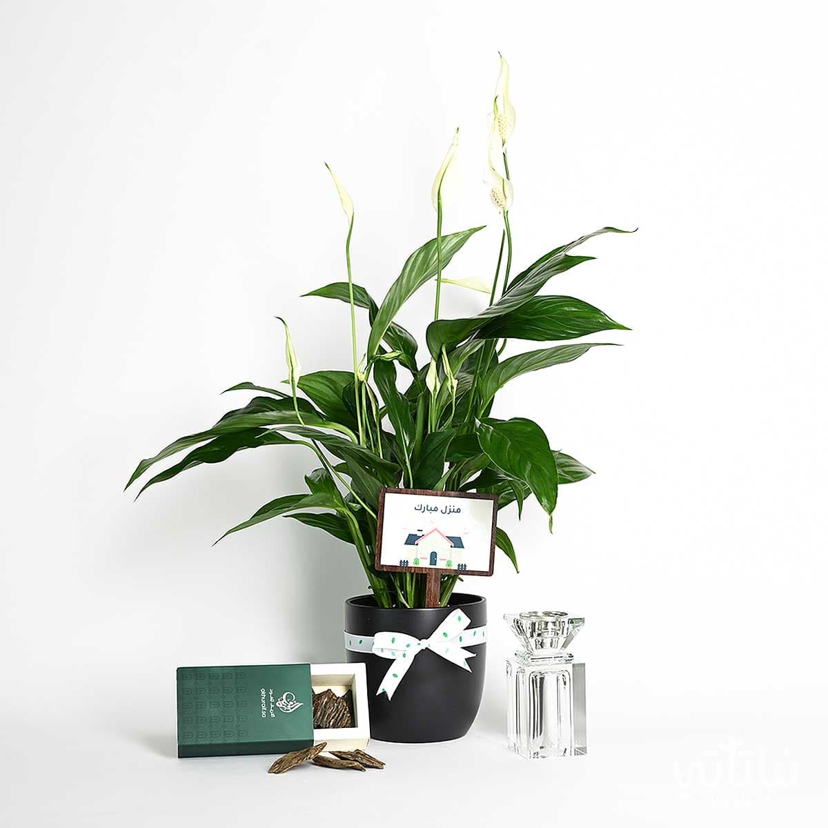 Blessed Home gift Peace Lily plant and a Clementine-scented incense oud 1