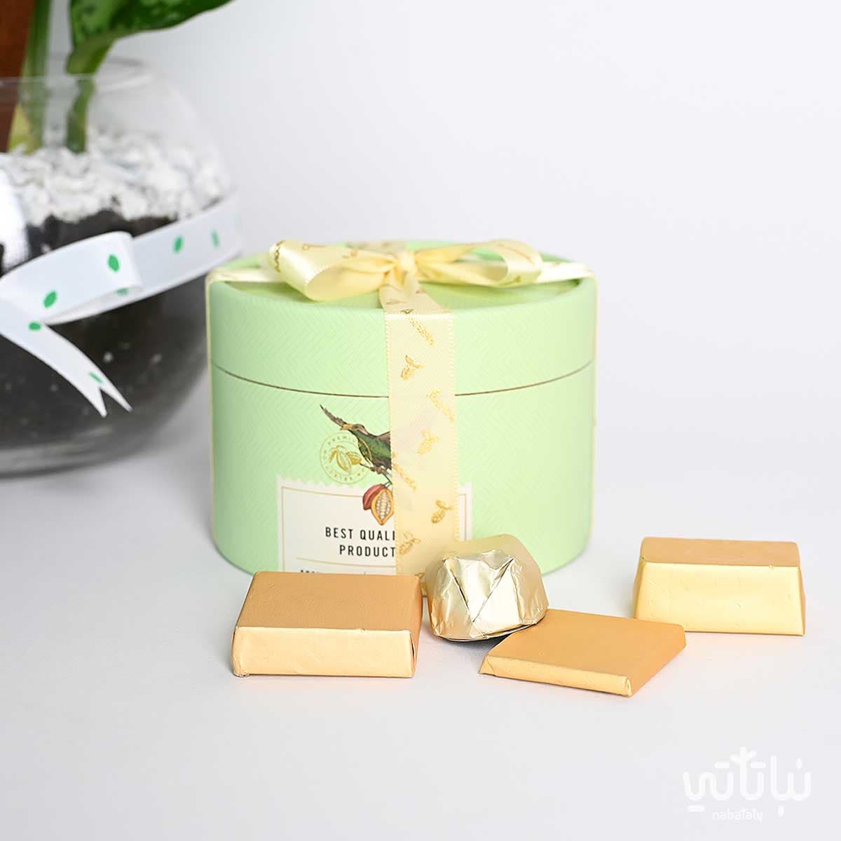 هدية مبروك نبتة الاجلونيما و سبحة 4