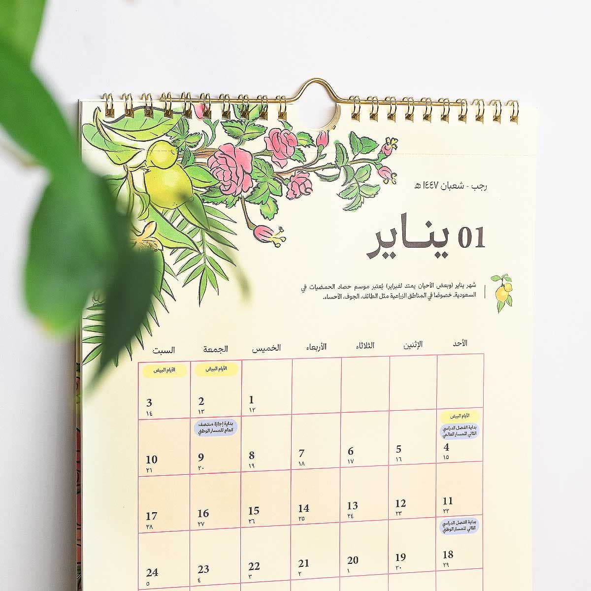 Marmelade Wall Calendar 2026 3