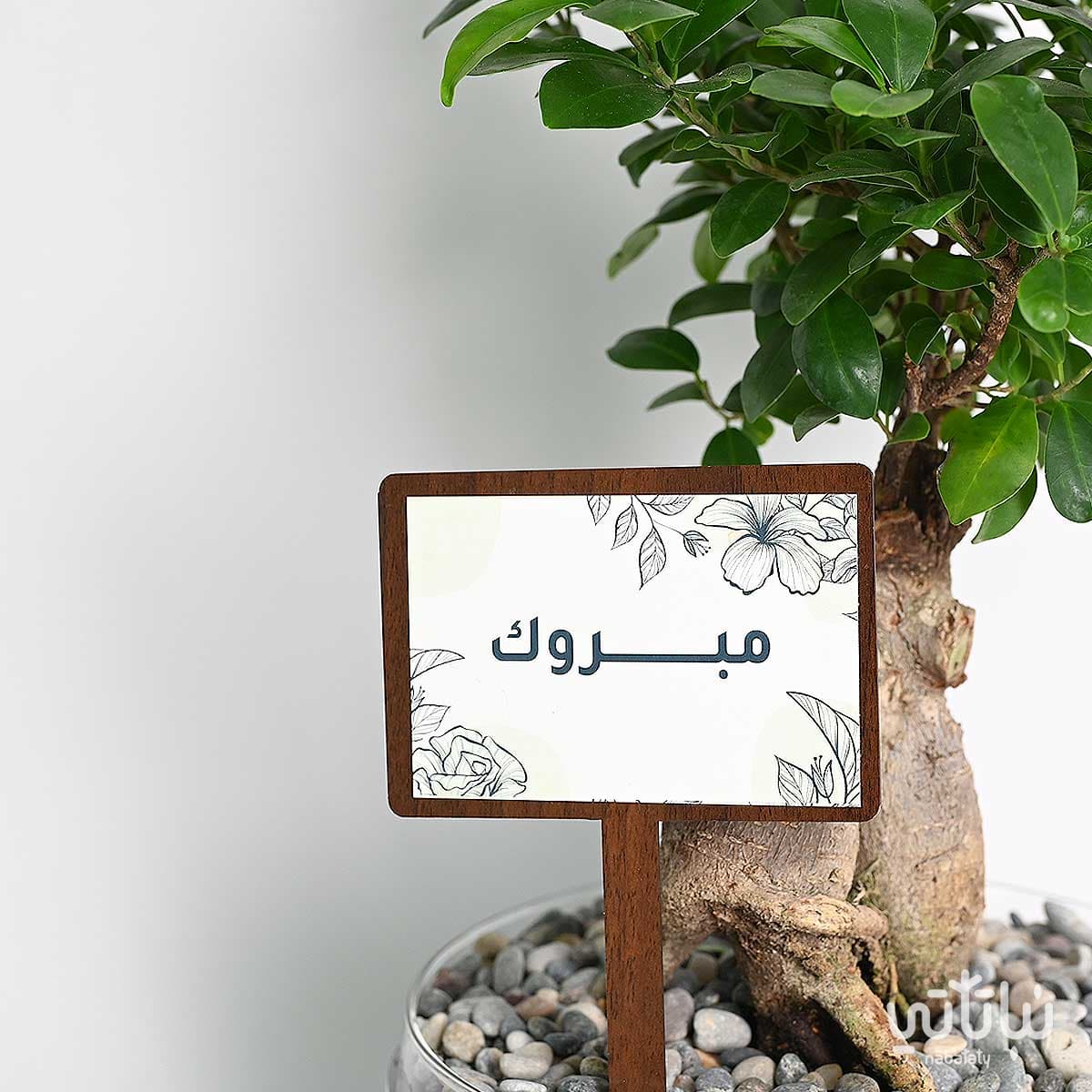 Congratulations gift bonsai plant with an incense burner and Oud 2