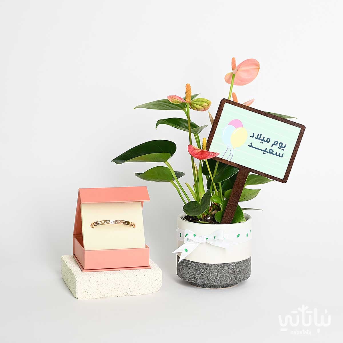 Birthday gift Anthurium plant and a Salmani style bracelet 1