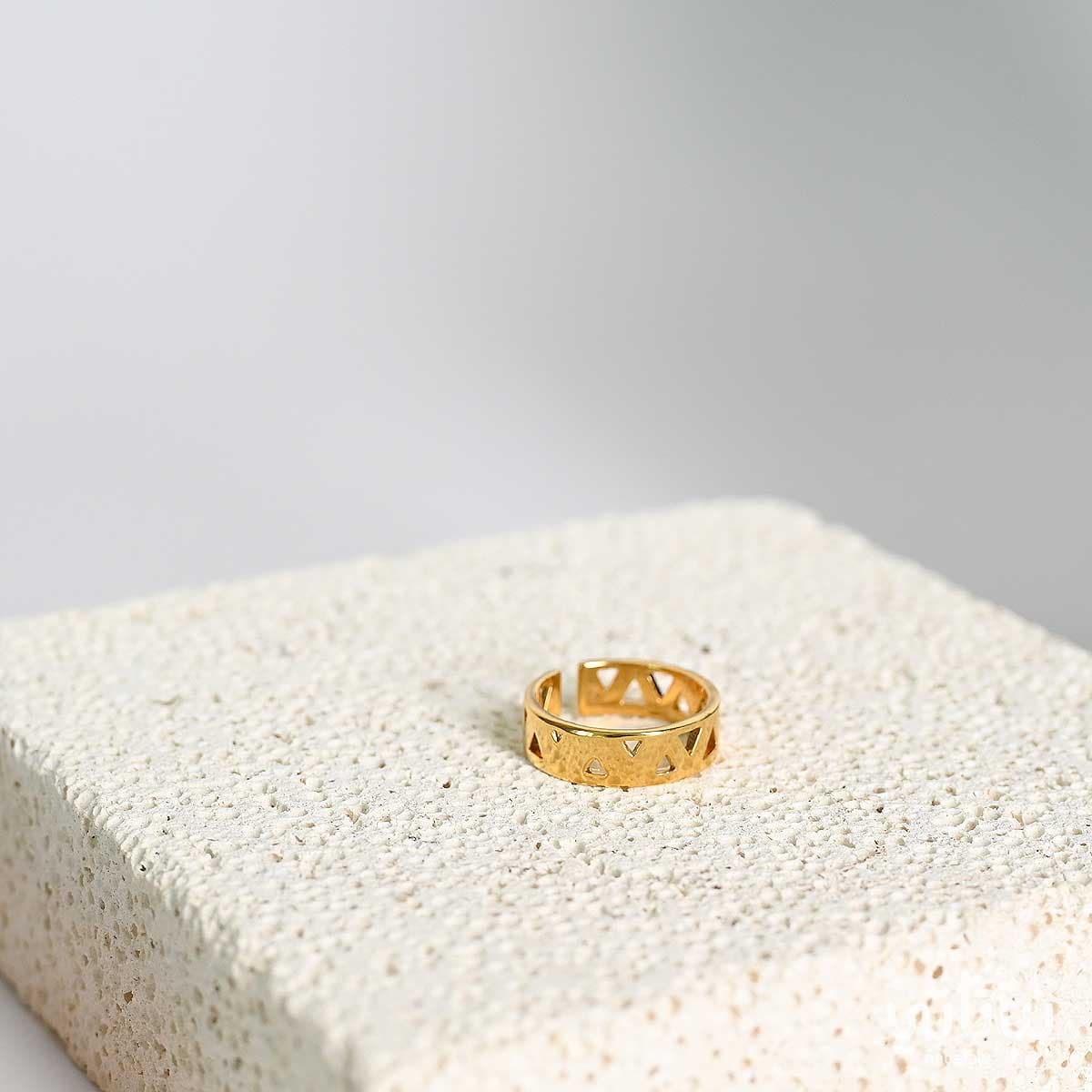 هدية يوم الميلاد نبتة الاجلونيما و خاتم الطراز السلماني 4