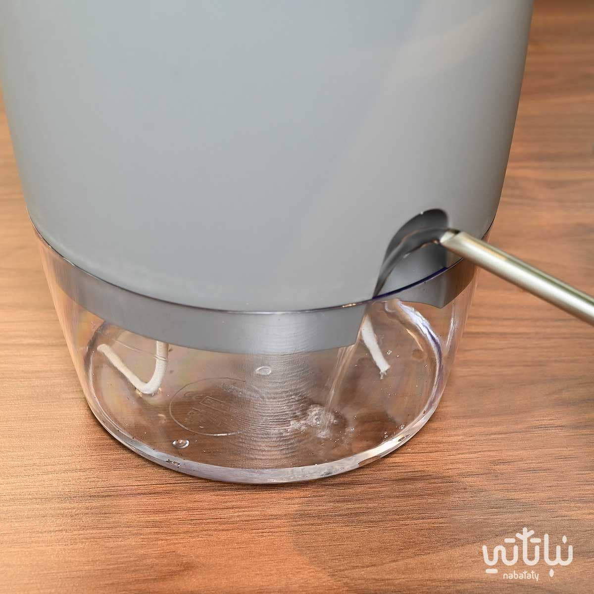 نبتة عصفور الجنة في حوض شفاف ذاتي الري رمادي 3