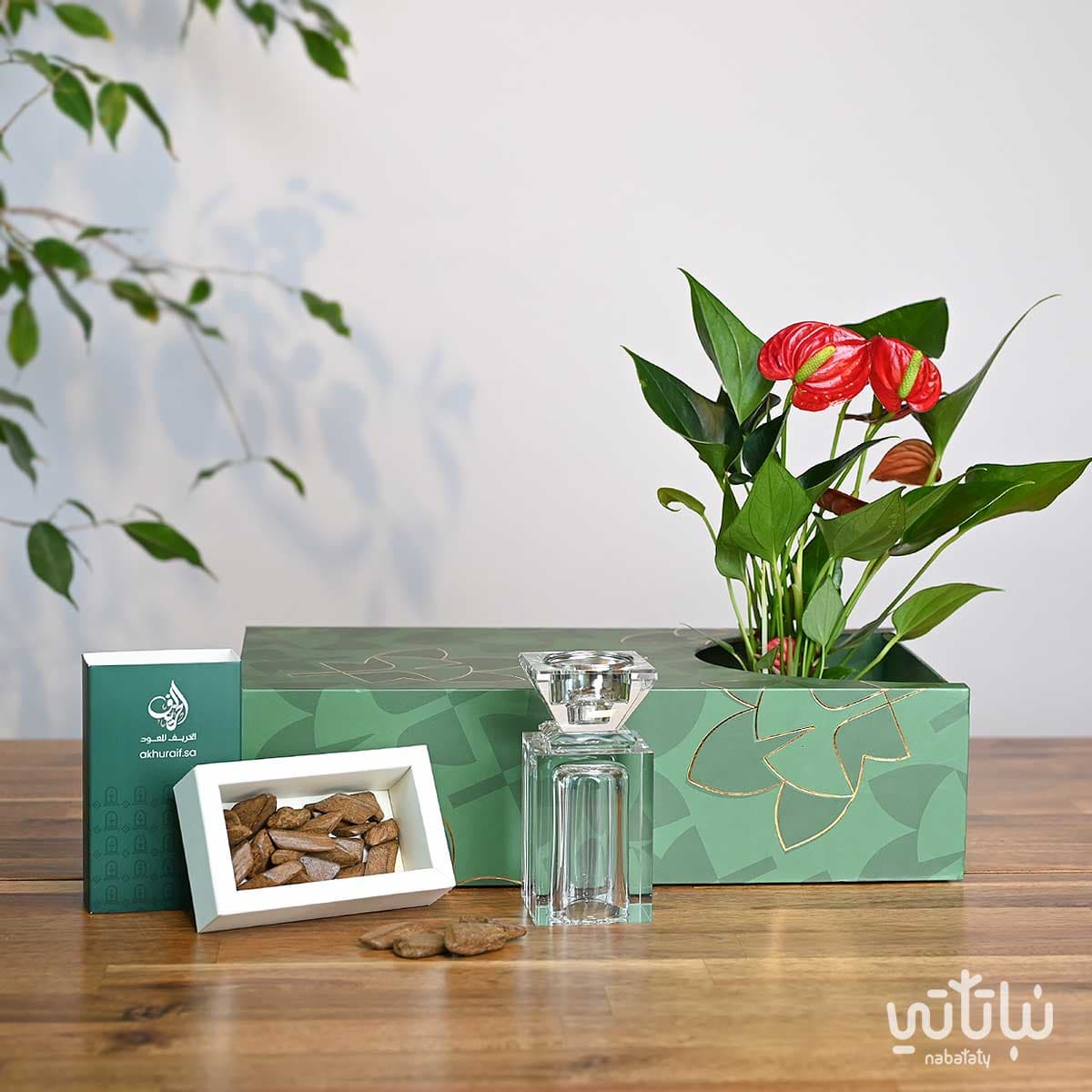 هدية نبتة الأنتوريوم مع مبخره و عود 1