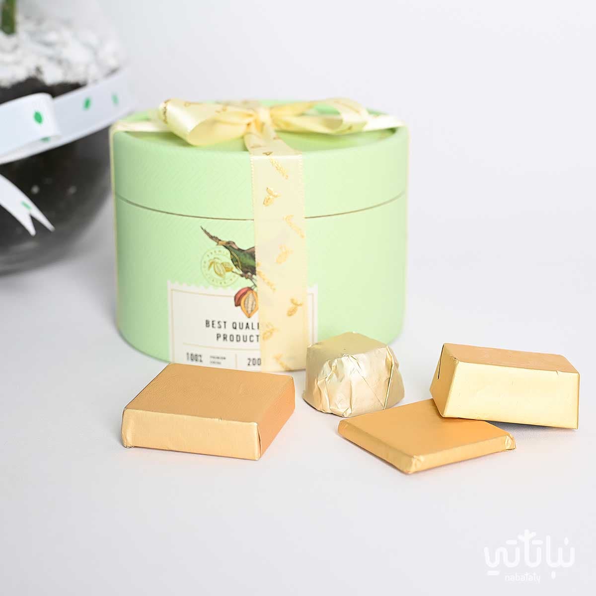 هدية مبروك نبتة الاجلونيما و قلادة الطراز السلماني 3