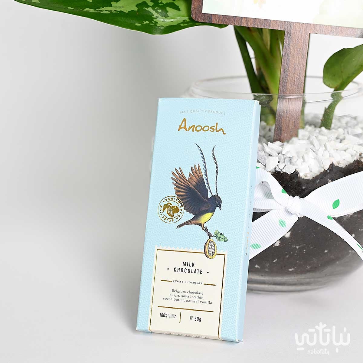 هدية مولود جديد نبتة الاجلونيما وتشوكلت أنوش 3