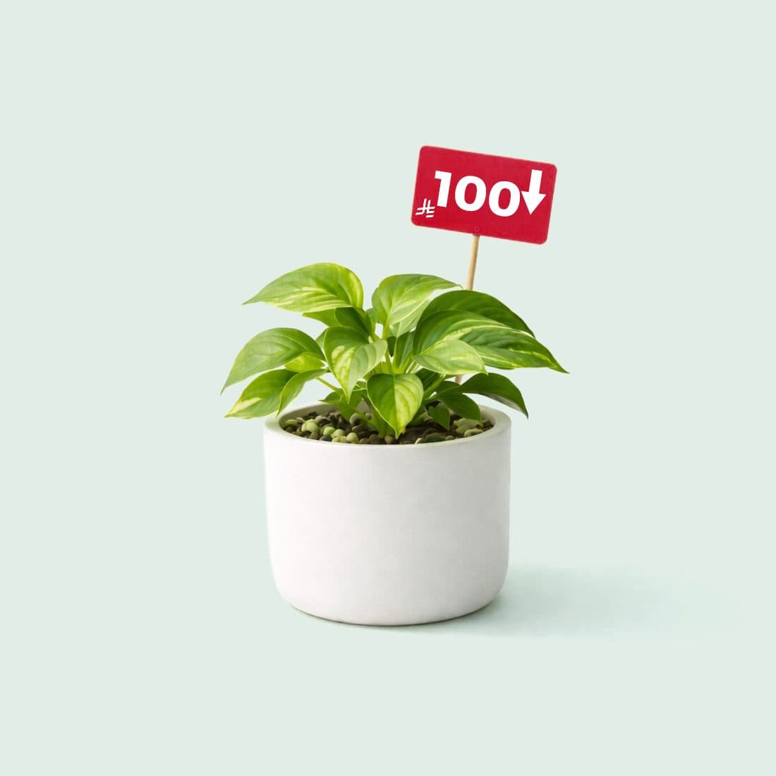 أقل من 100 ريال