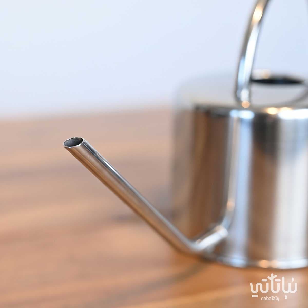 Silver stainless steel watering can 2