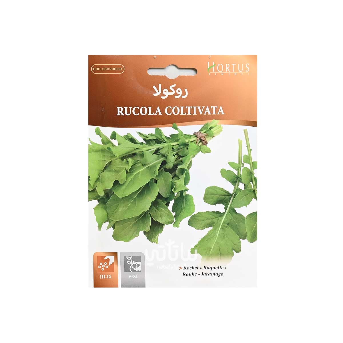 بذور جرجير (روكولا) 1