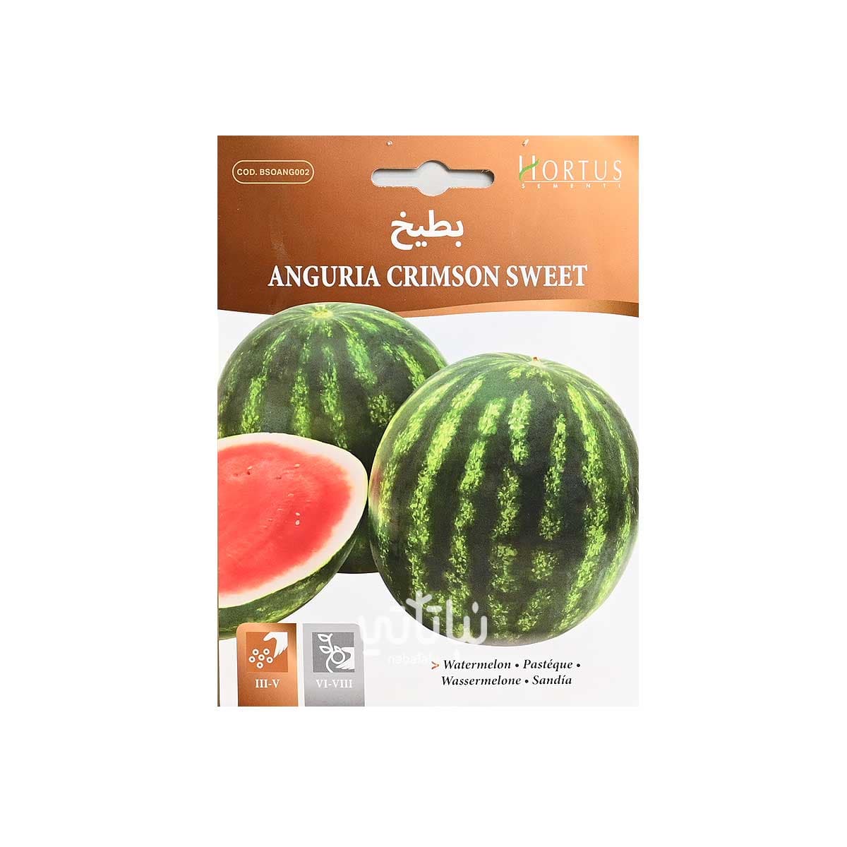 Watermelon Seeds 1