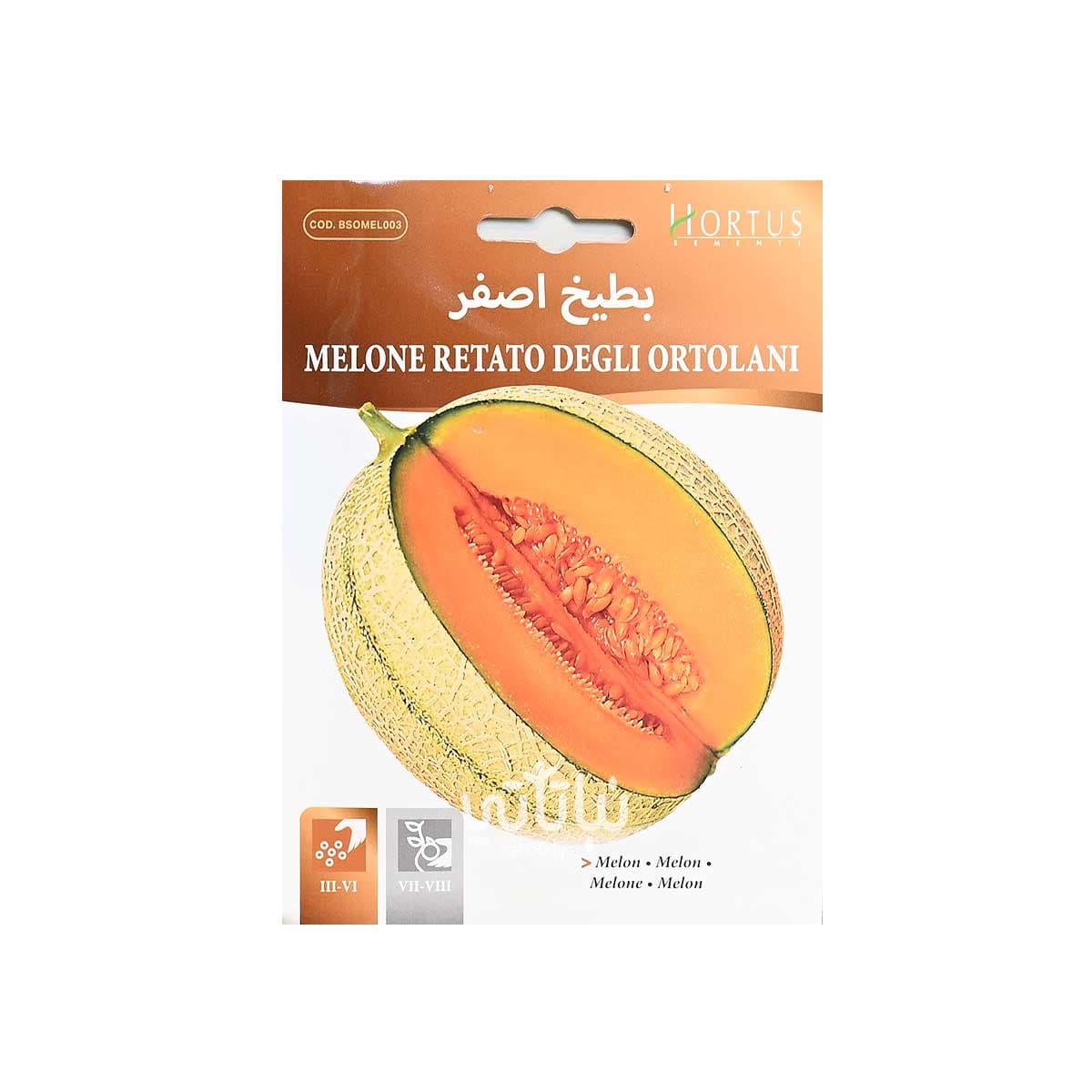 بذور بطيخ اصفر 1