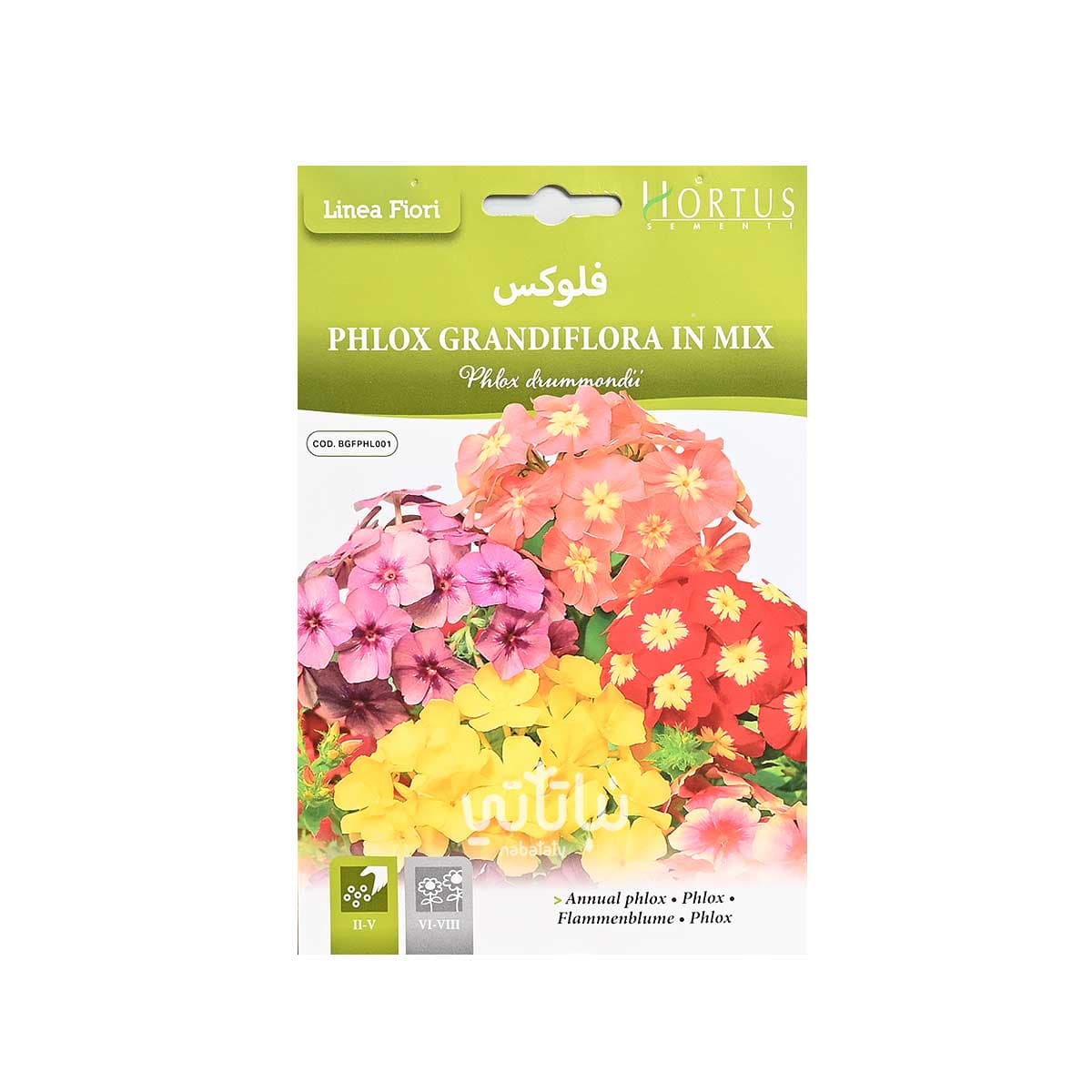 بذور زهرة فلوكس 1