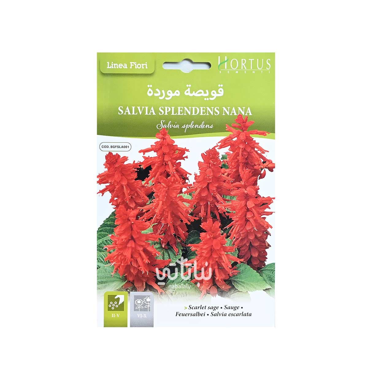 بذور زهرة قويصة موردة 1