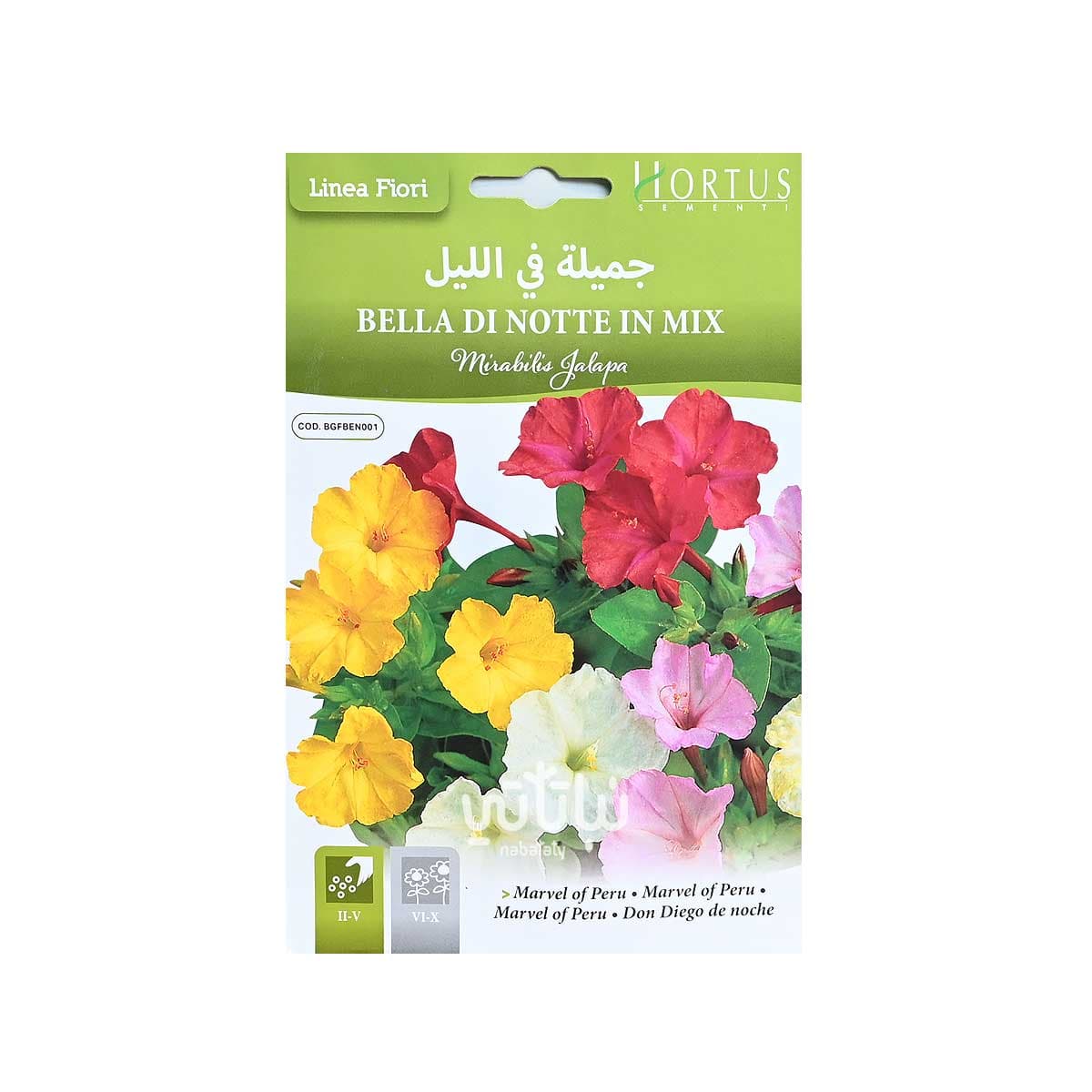 Seeds of a beautiful night blooming flower 1