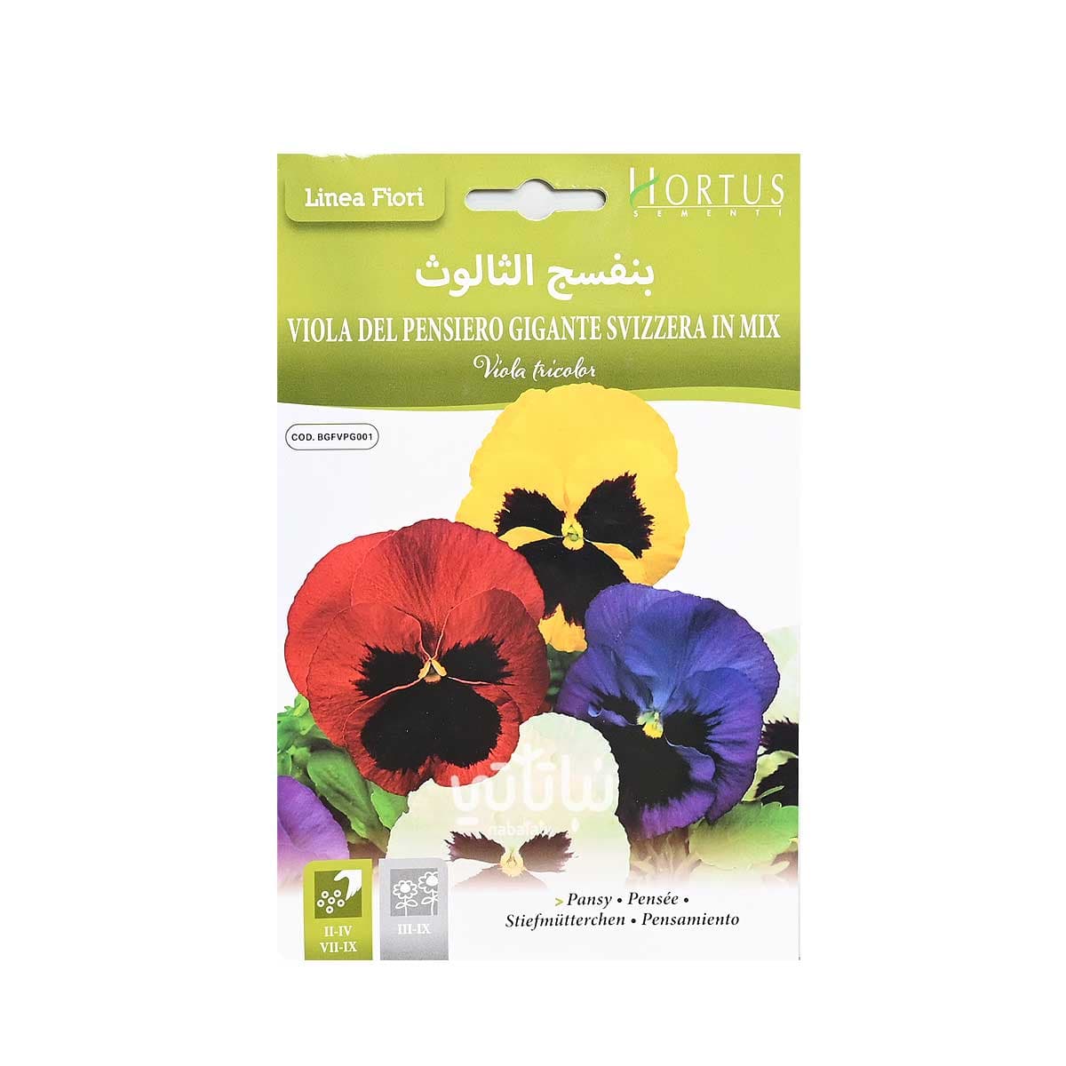 بذور زهرة بنفسج الثالوث 1