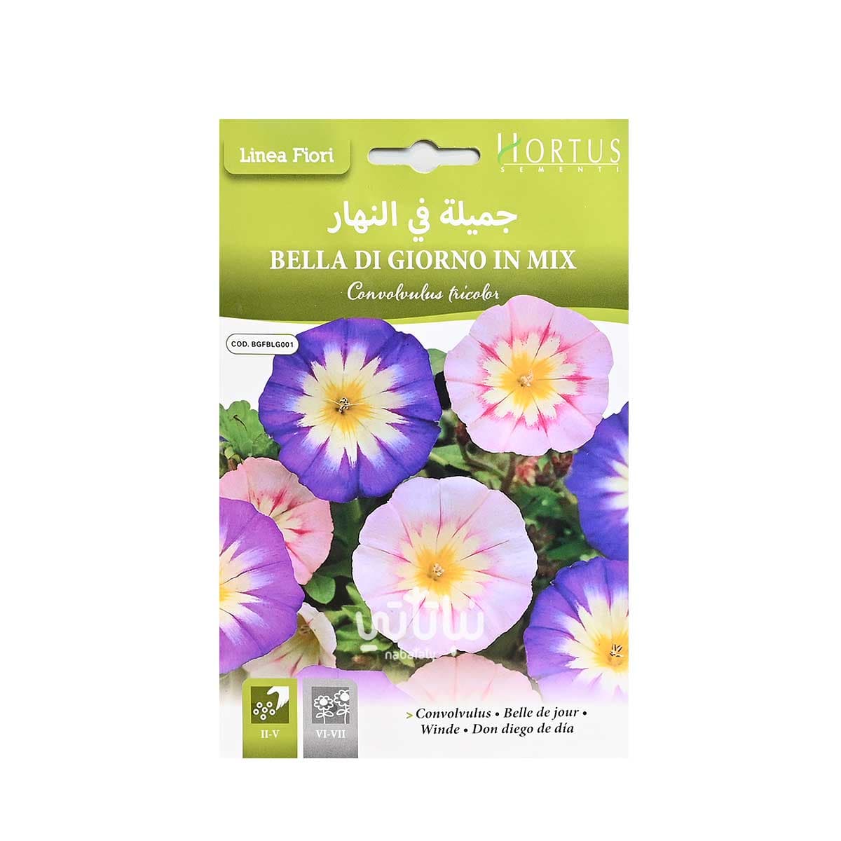 بذور زهرة جميلة في النهار 1