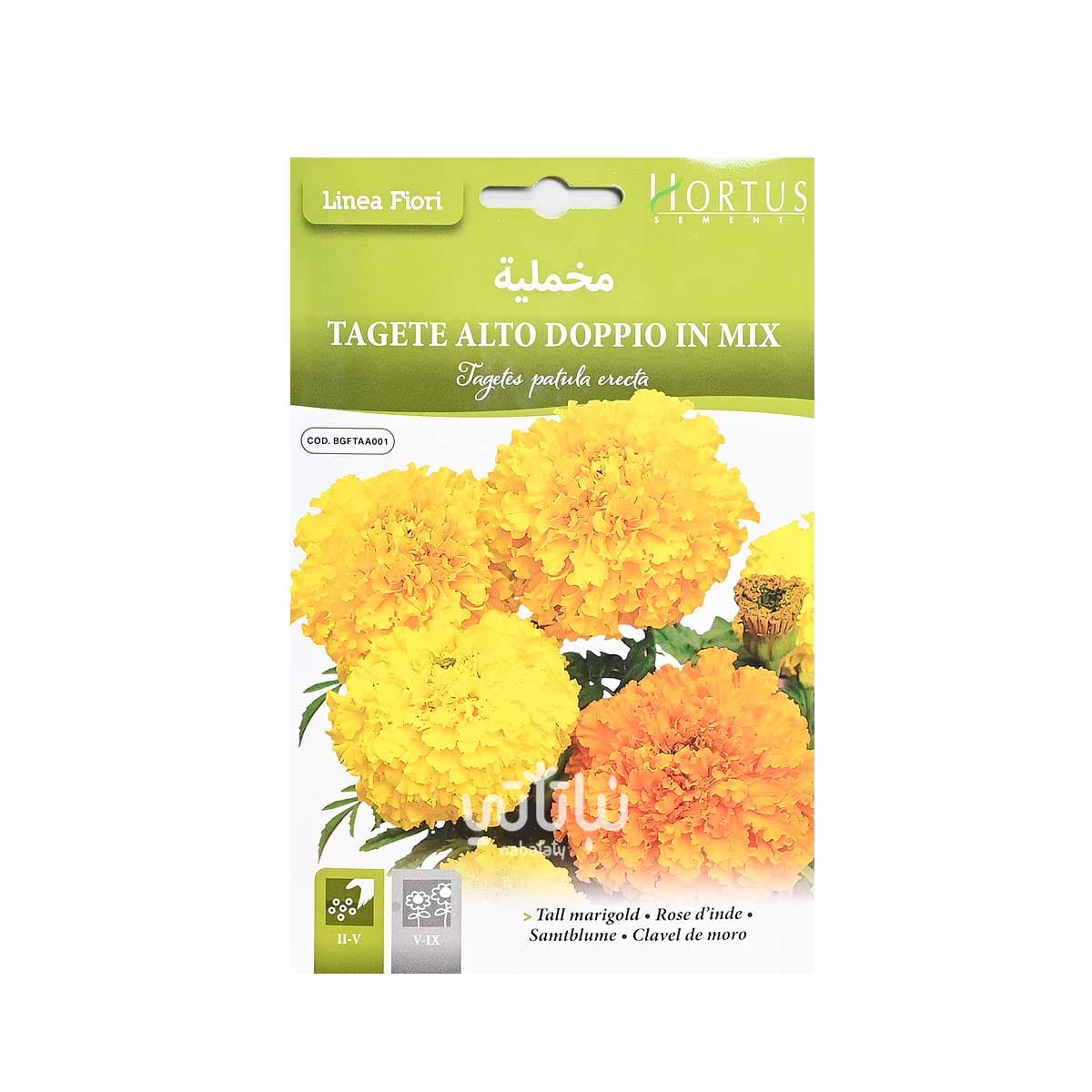 بذور زهرة مخملية 1