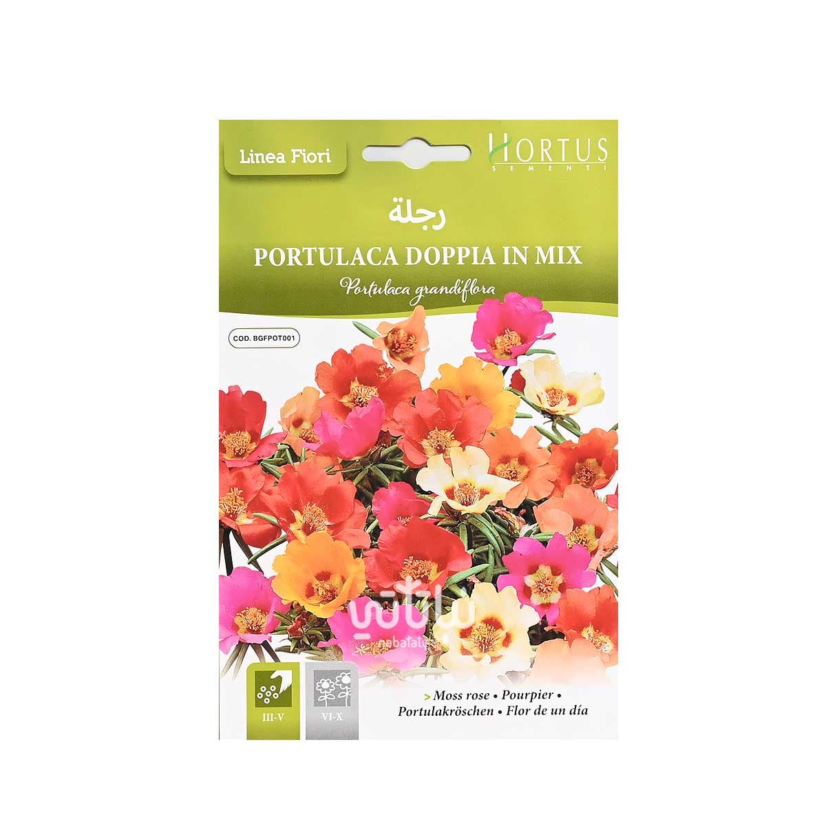 بذور زهرة رجلة 1