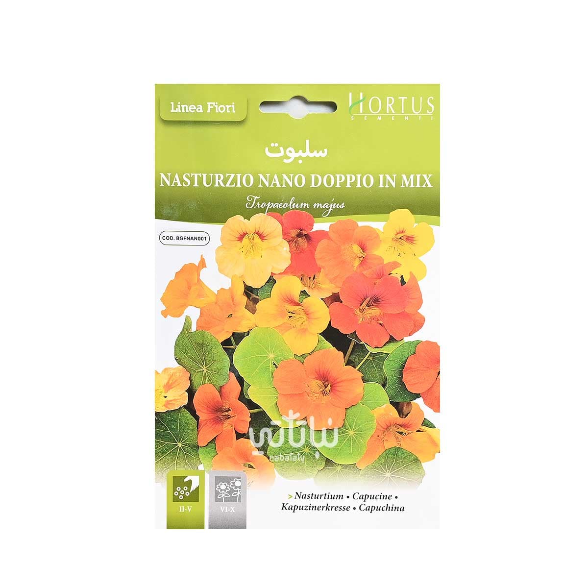 بذور زهرة سلبوت 1