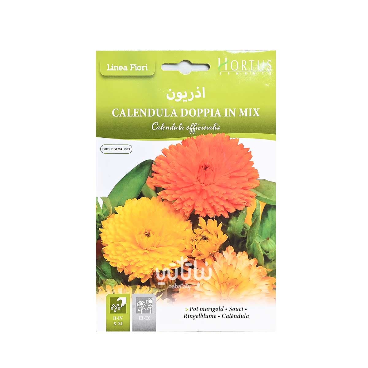 بذور زهرة اذريون 1