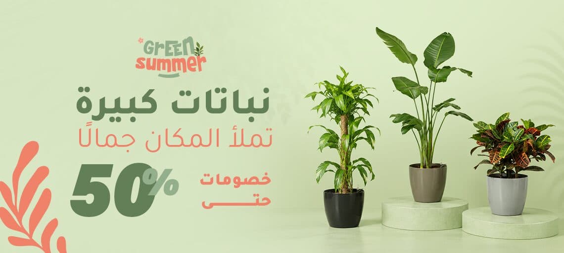 Nabataty Banner