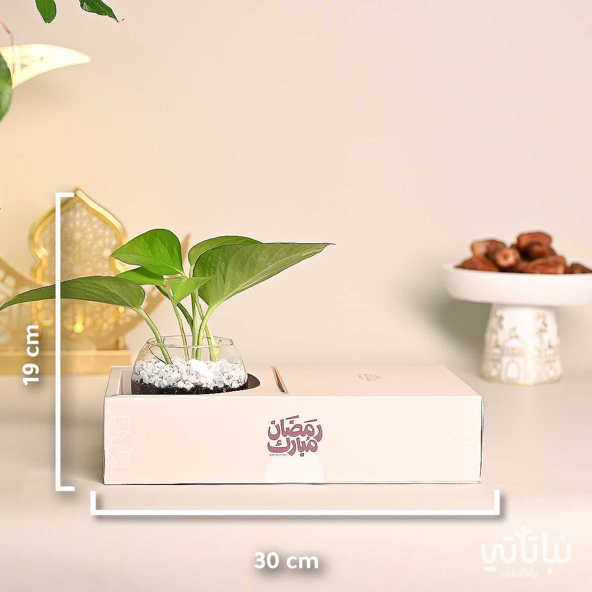 هدية نبتة البوتس مع سبحة ثيم رمضان 2