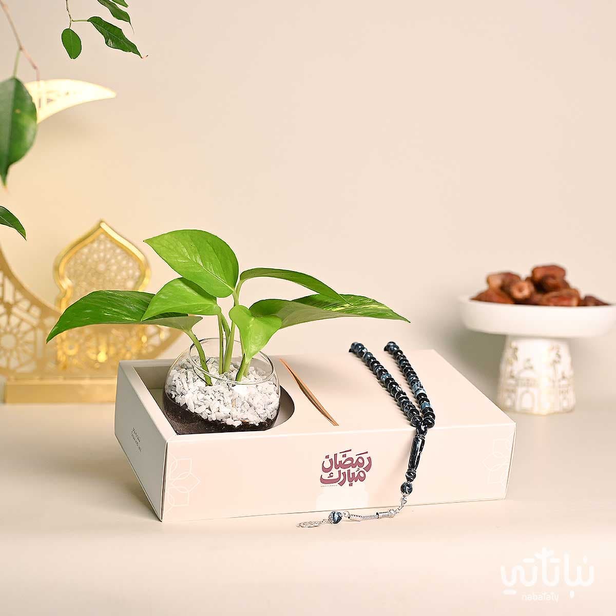 هدية نبتة البوتس مع سبحة ثيم رمضان 1