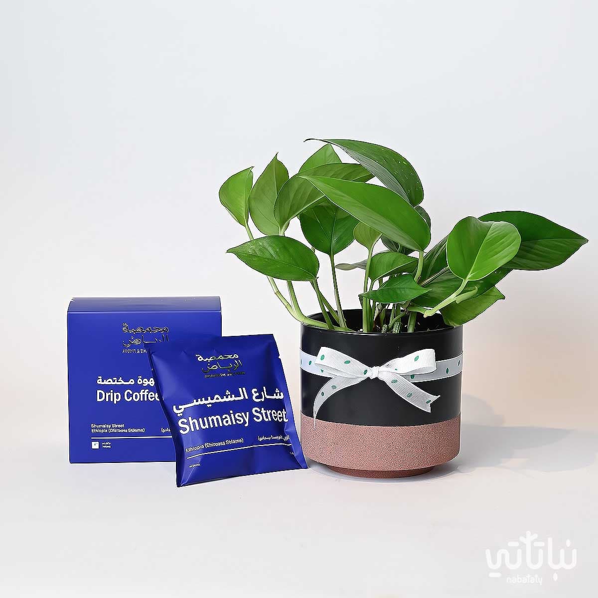 Congratulations on Graduation gift Pothos plant and Riyadh roasted coffee