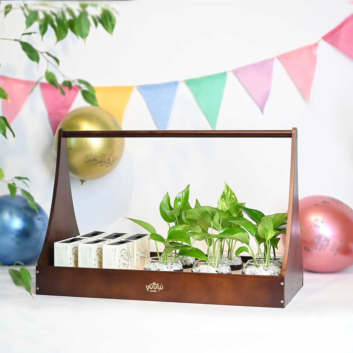 سلة توزيعات العيد نبتة البوتس