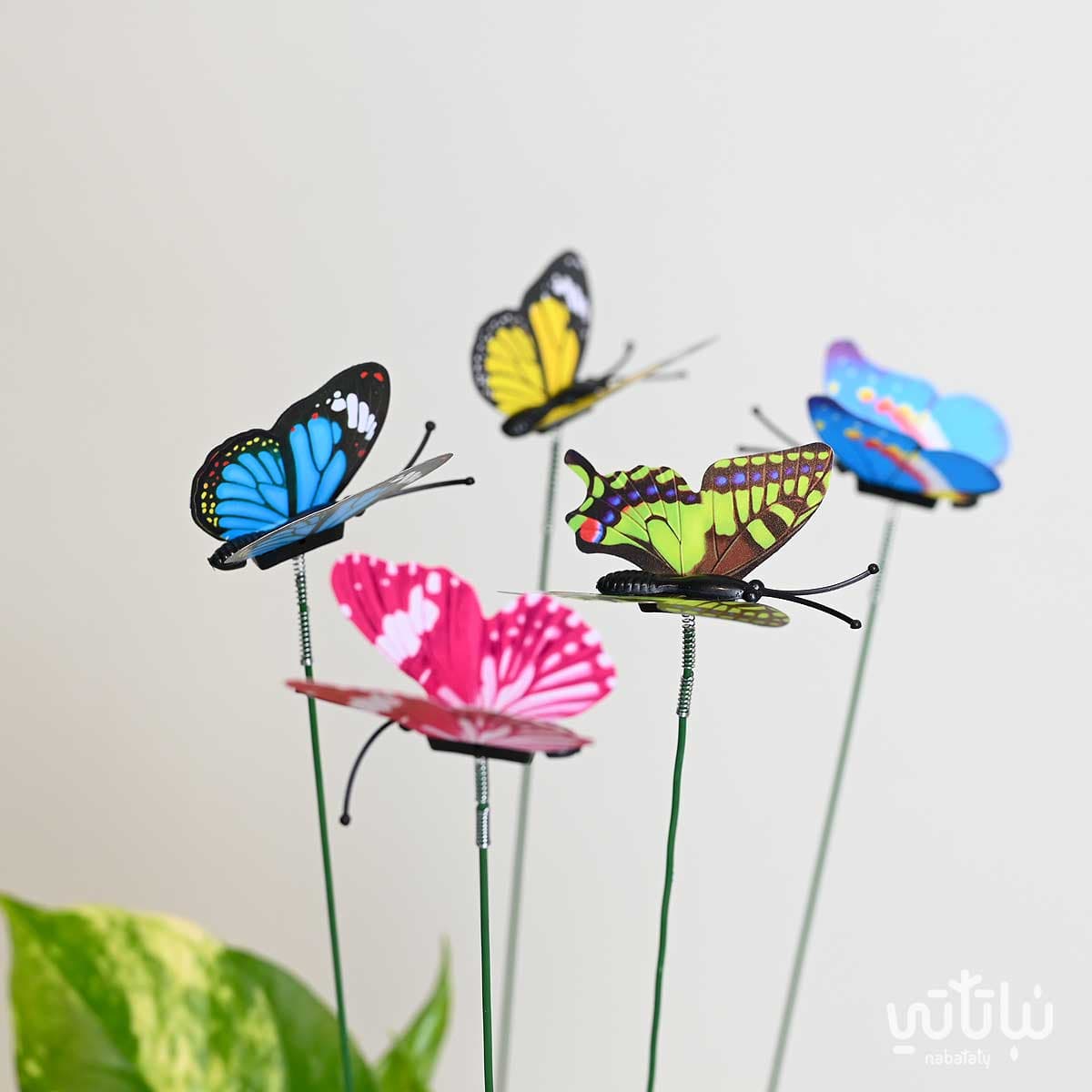 اعواد الفراشات الملونة