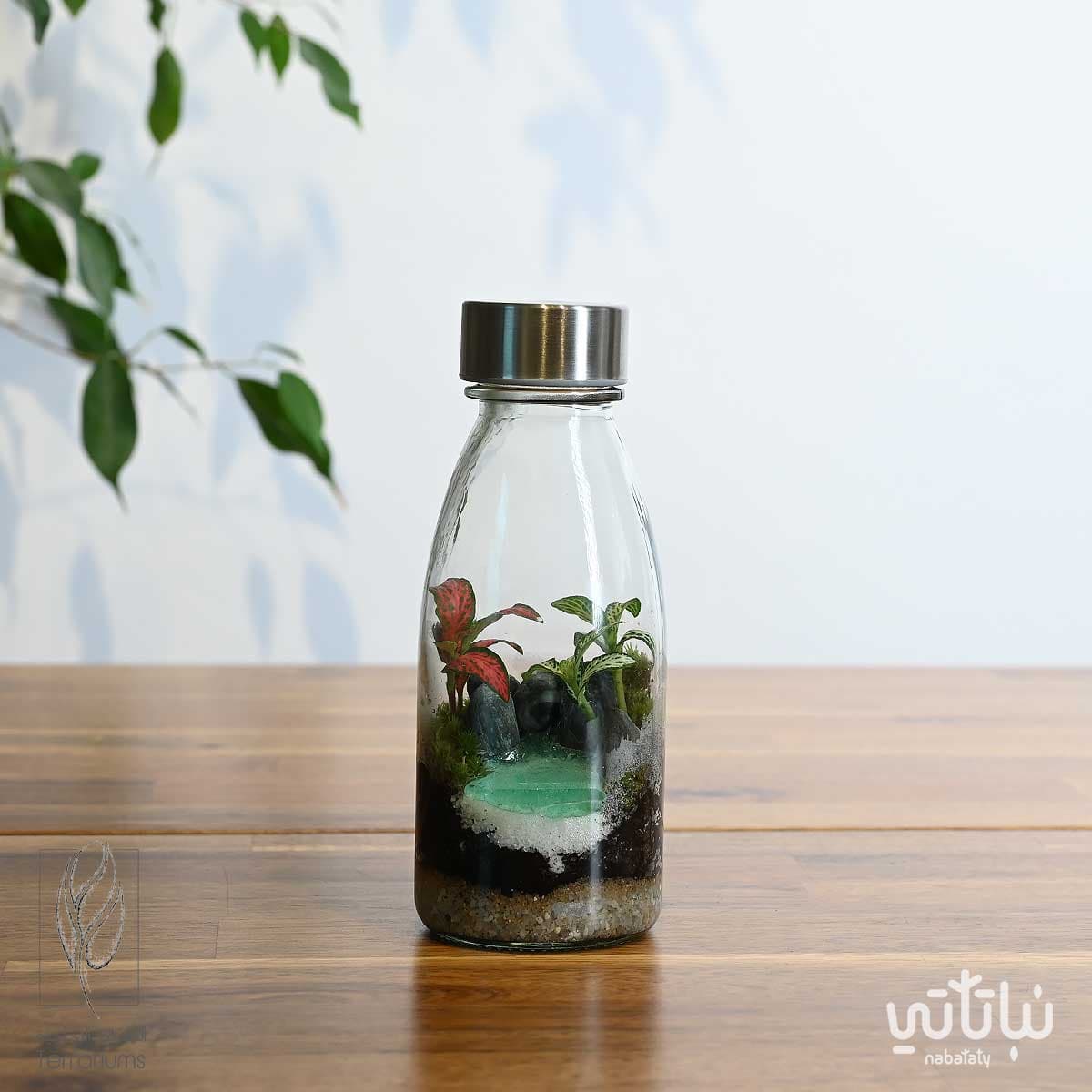 غابة الضوء صغيرة