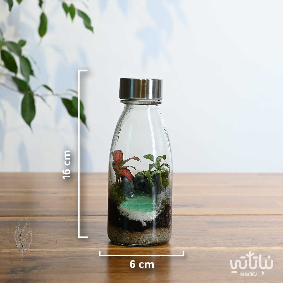 غابة الضوء صغيرة 2