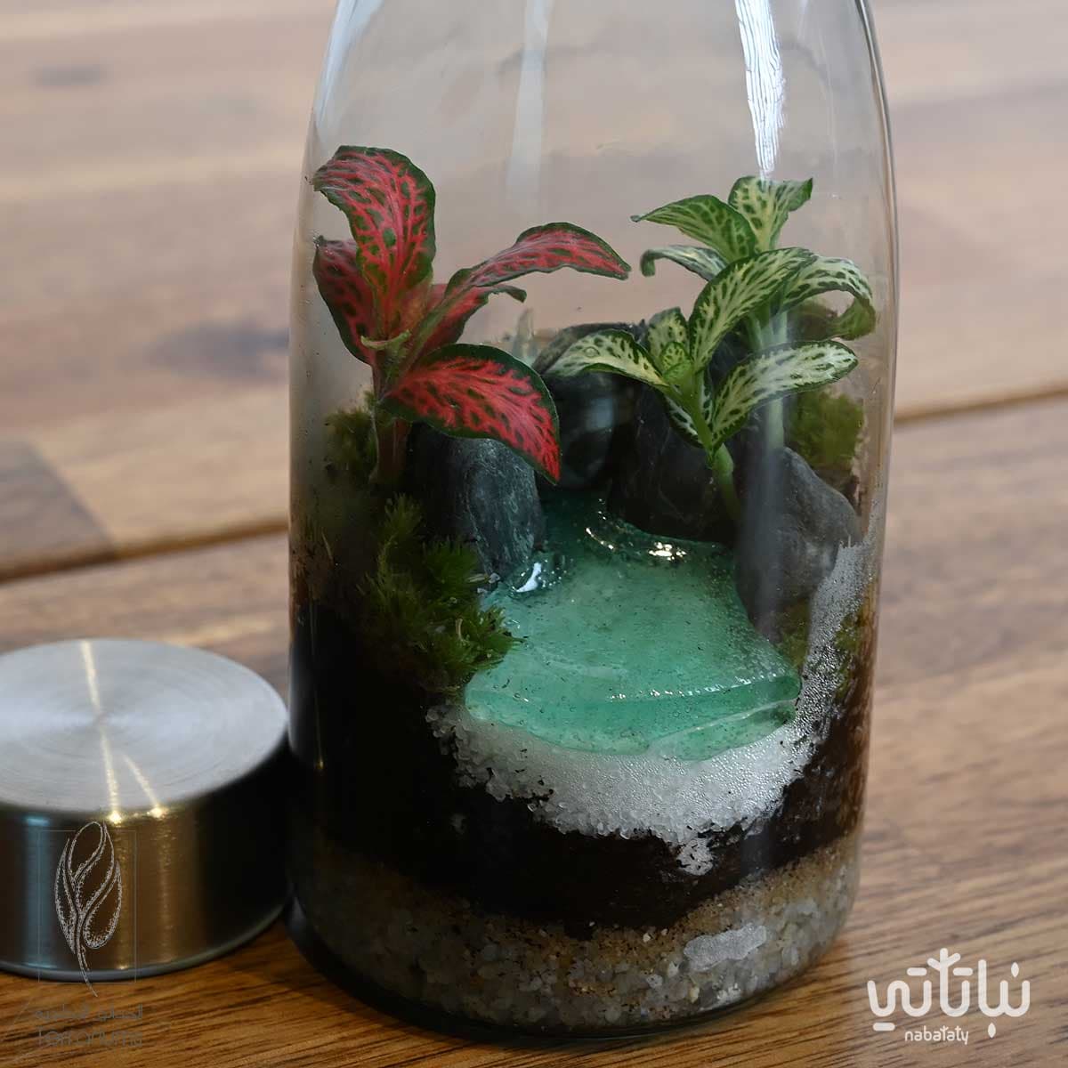 غابة الضوء صغيرة 4