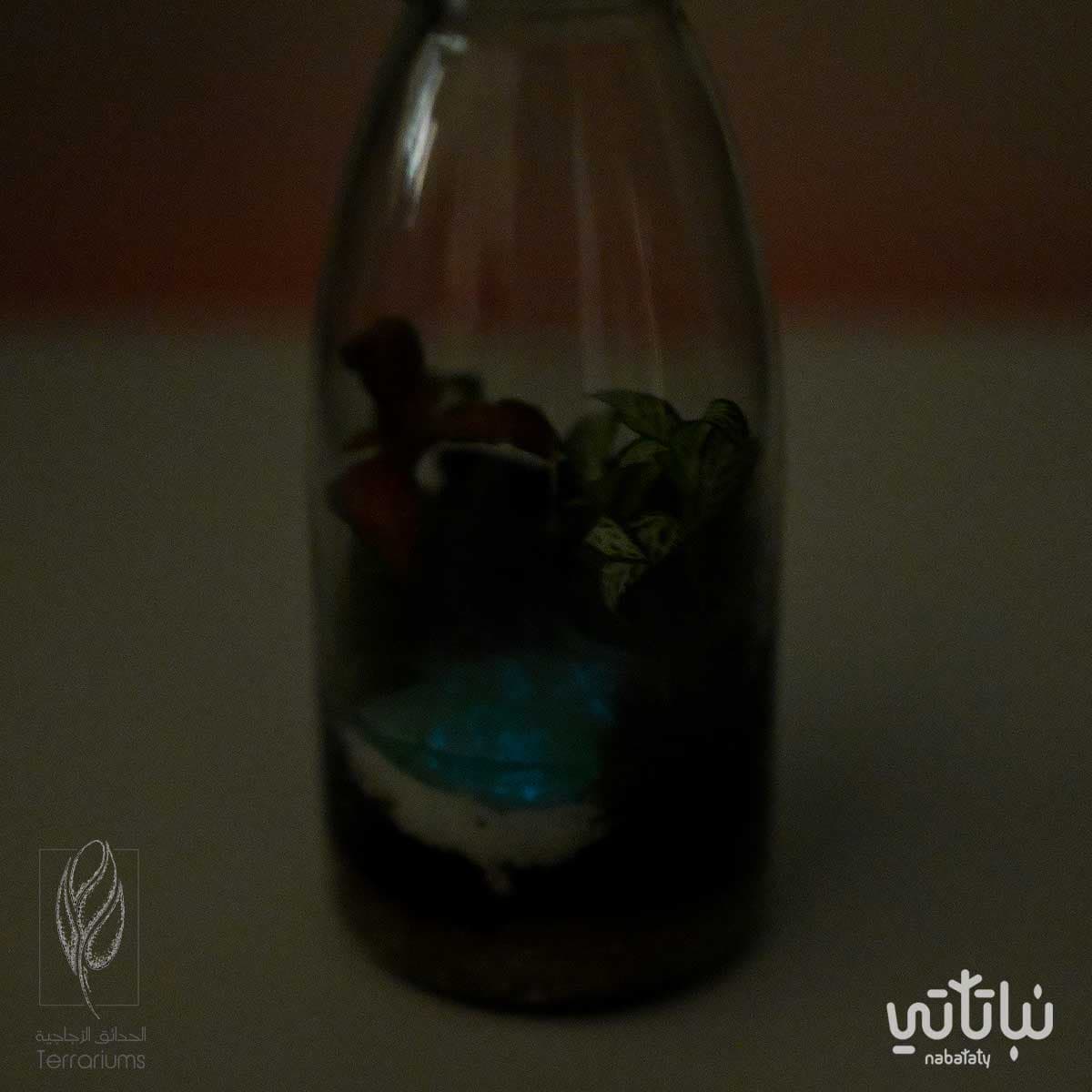 غابة الضوء صغيرة 3