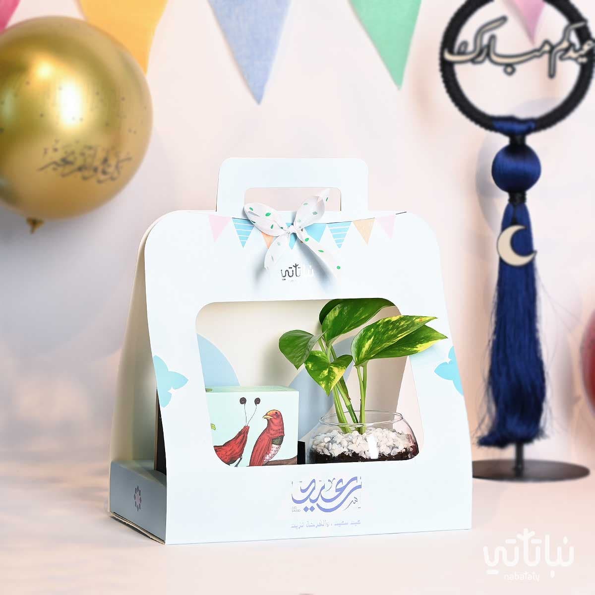 هدية نبتة البوتس مع تشوكلت أنوش ثيم العيد