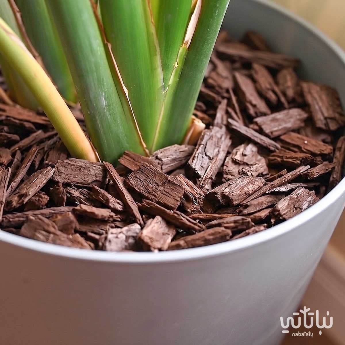 Dark brown wood bark 1 liter 3