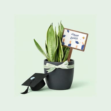 مبروك التخرج