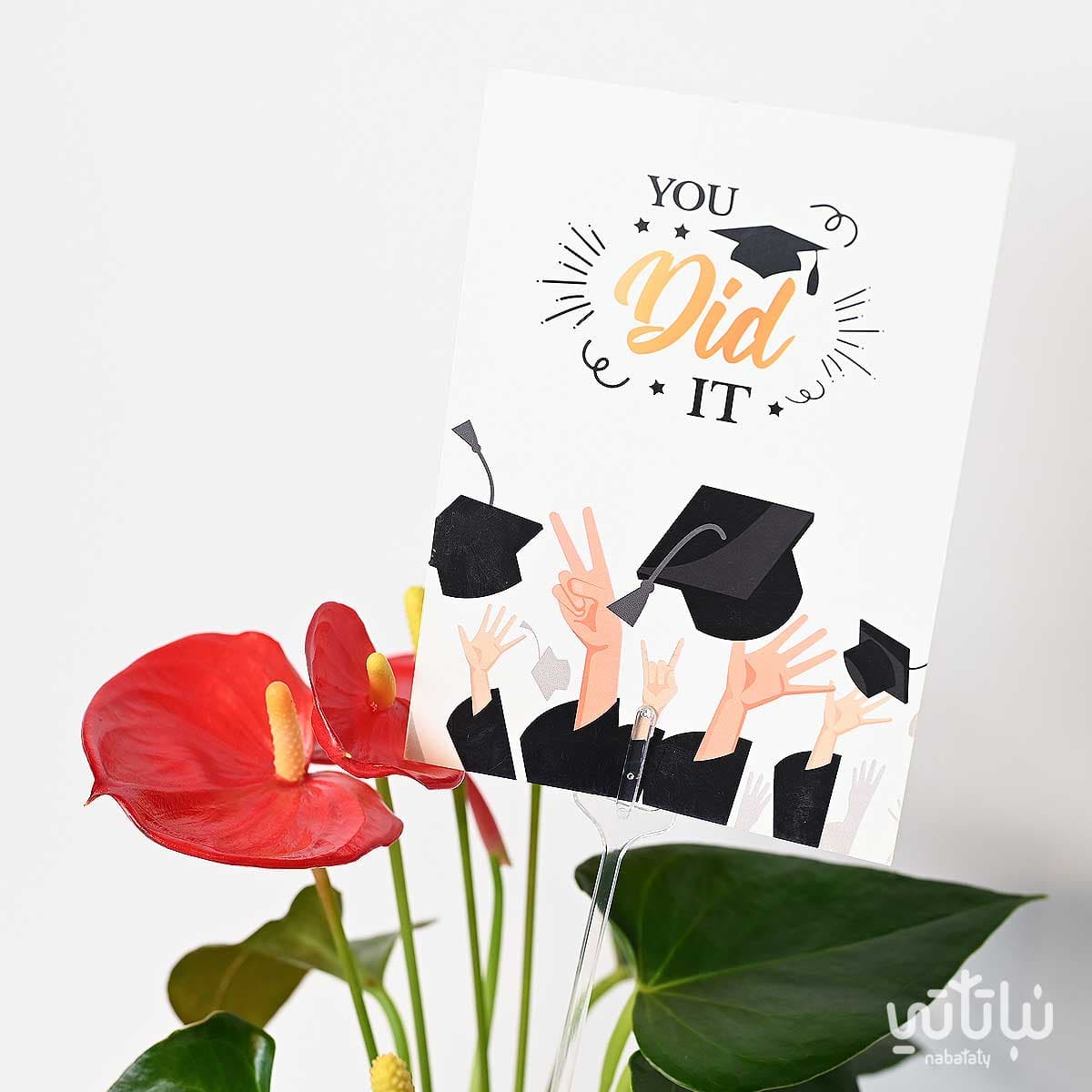 Congratulations on Graduation gift Anthurium plant and Anoosh chocolates 2